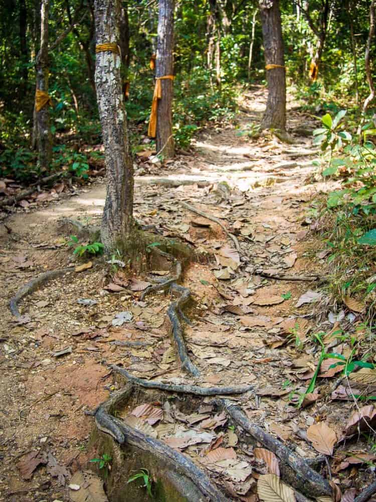 Running while travelling-Chiang Mai trail run to Wat Pha Lat