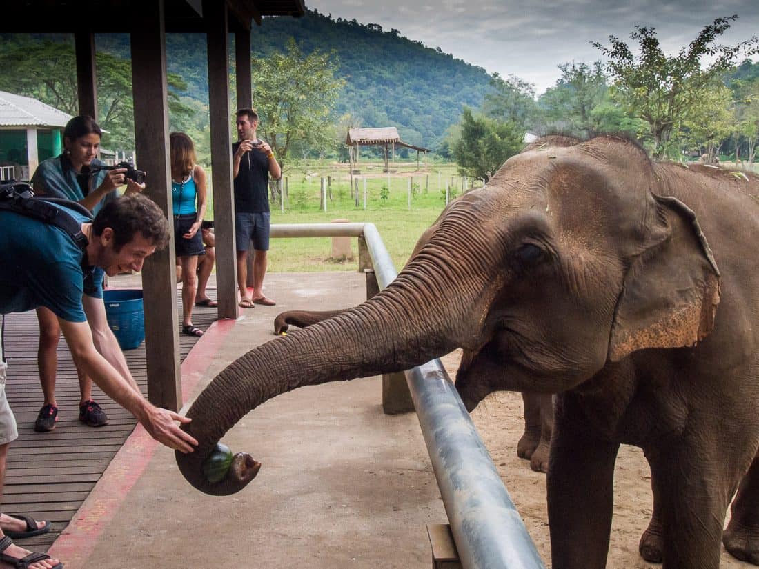 Elephant Nature Park