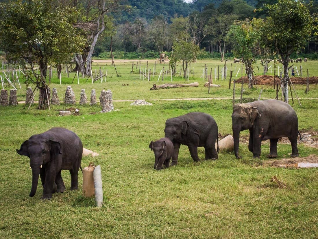 Elephant Nature Park