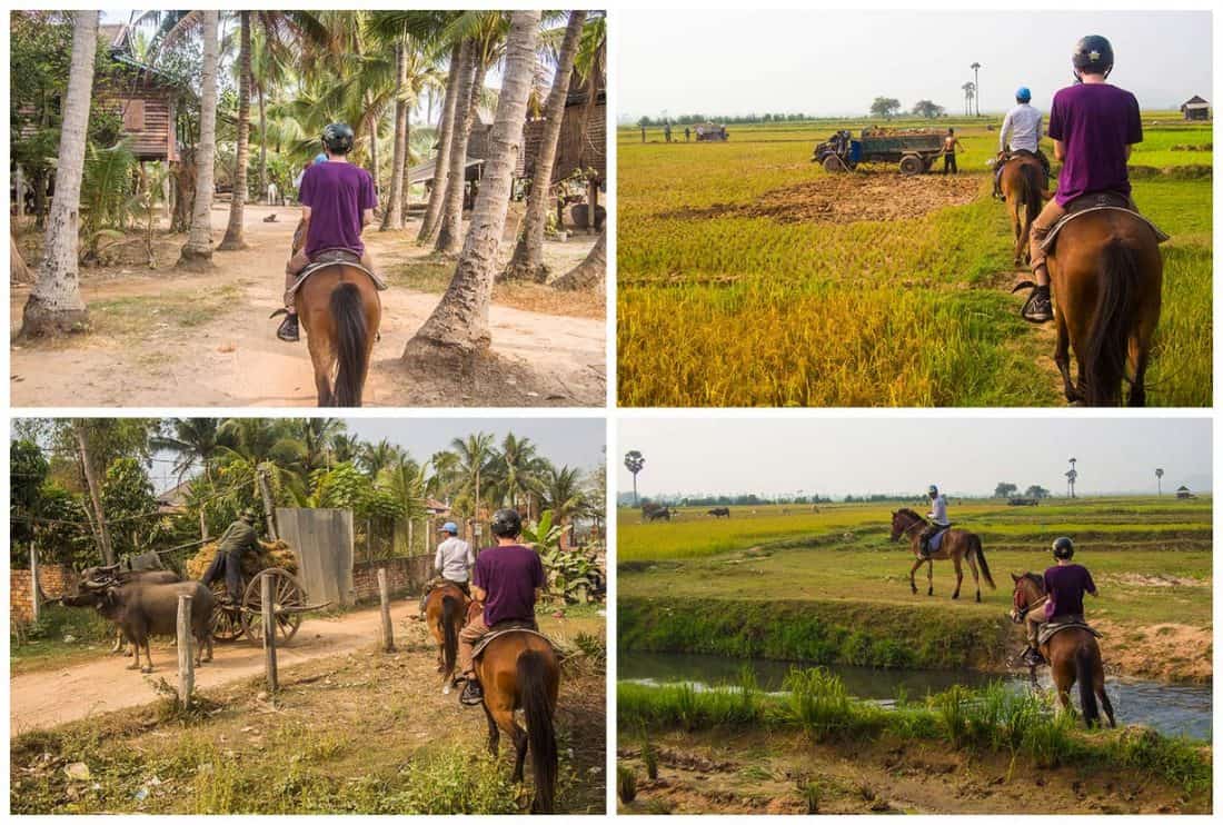 Horse riding with The Happy Ranch