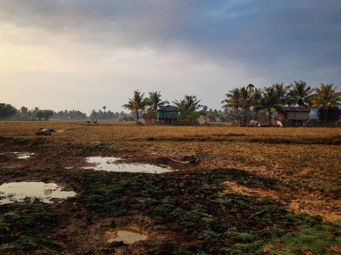 Rice paddies outside Kampot