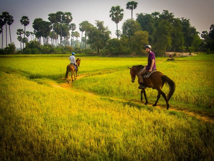 Horse riding through rice paddies with The Happy Ranch, Siem Reap