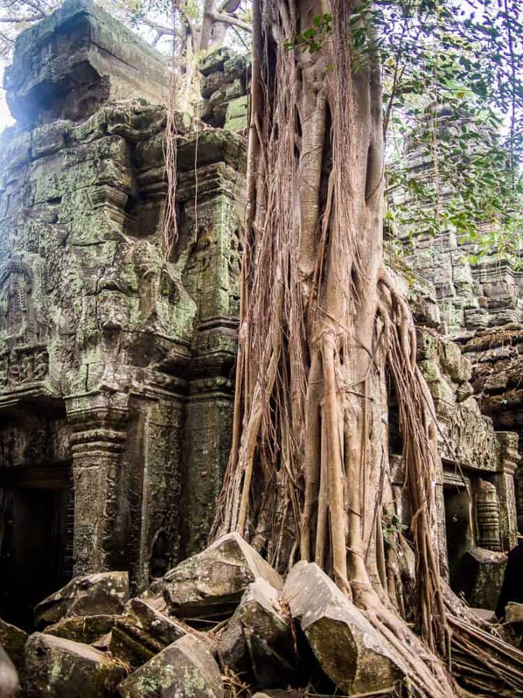 Ta Prohm