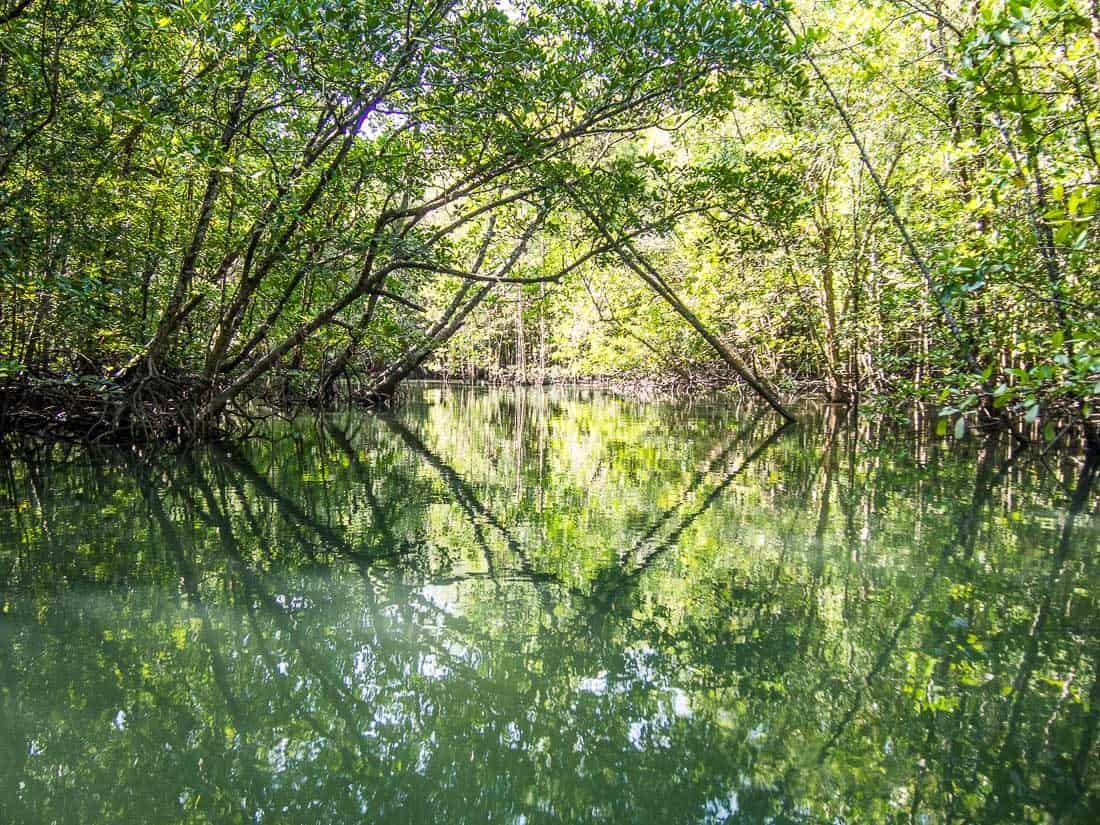 Kilim mangroves, Langkawi