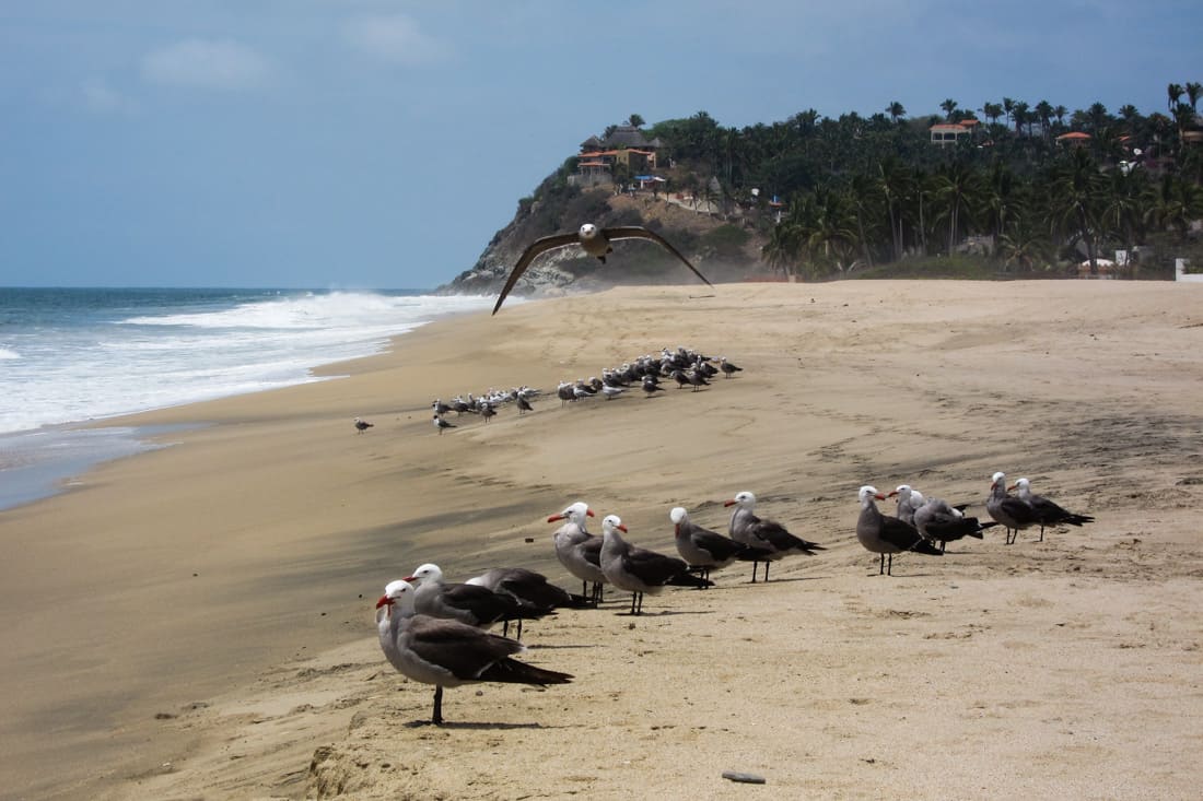 San Pancho, Mexico beach