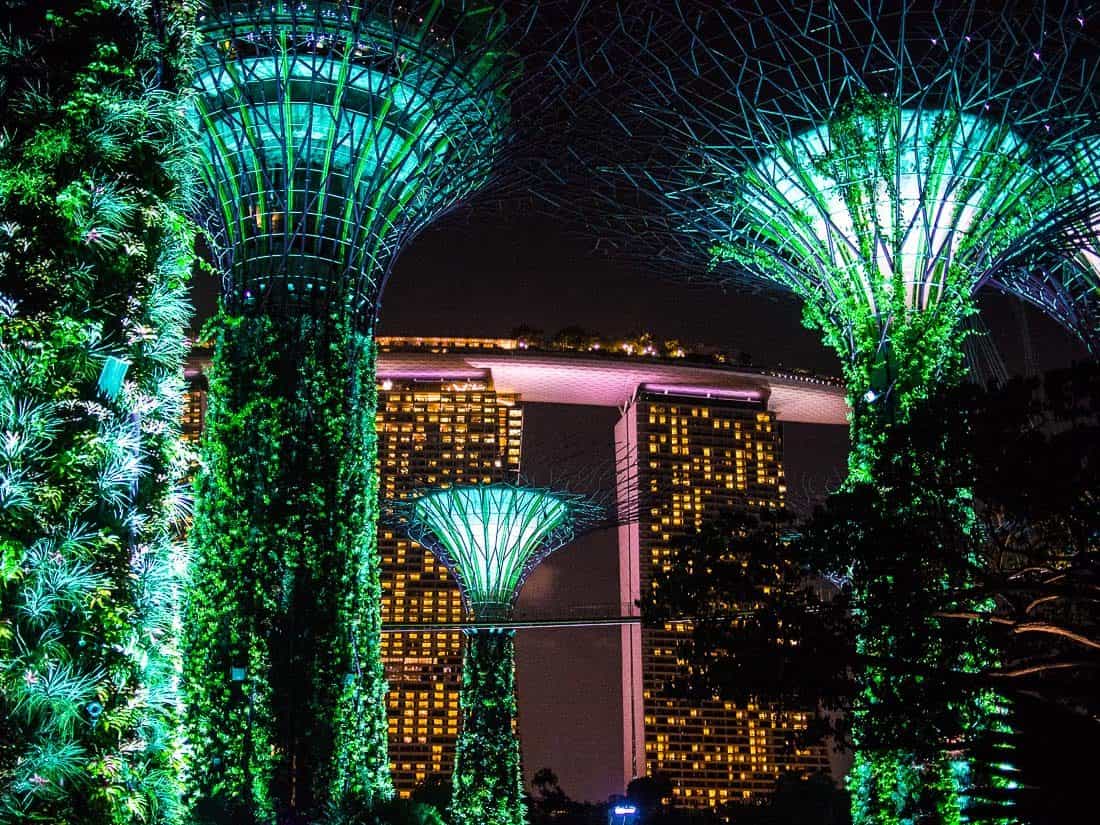 Marina Bay Sands behind the Supertrees