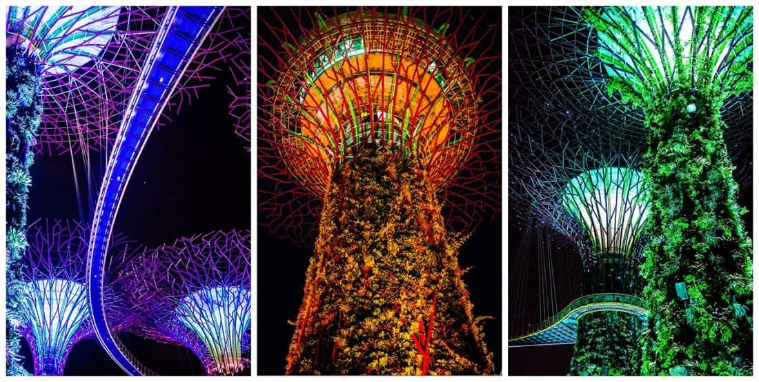 Supertrees at night, Singapore