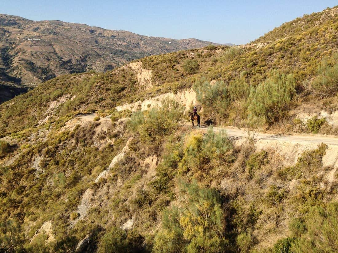 Horseriding in the Alpujarras