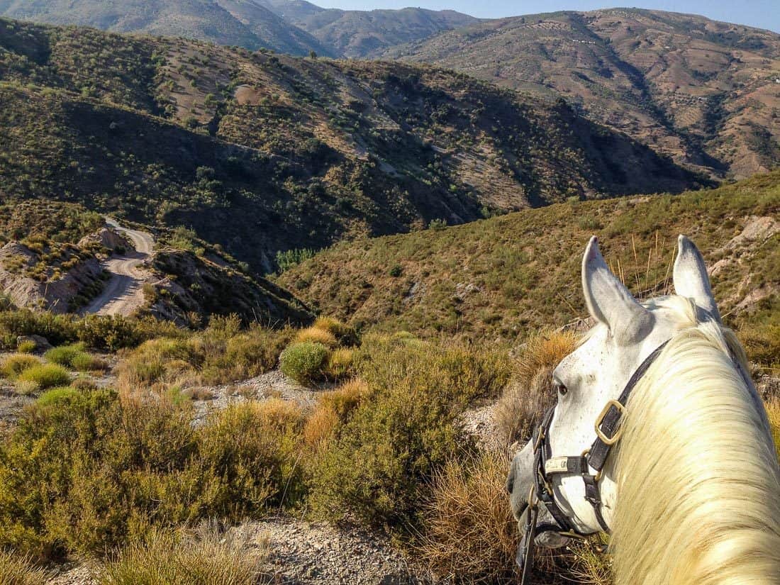 Horse and Housesitting in the Alpujarras, Spain