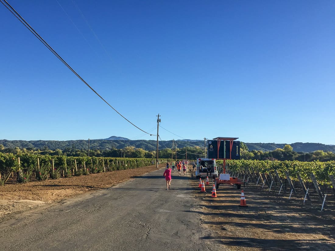 My first half marathon - Run Wine Country Healdsburg Half Marathon