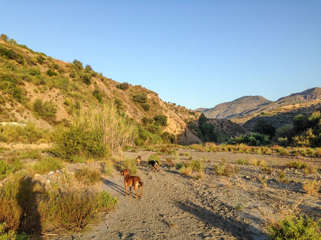 My first half marathon- training in Spain