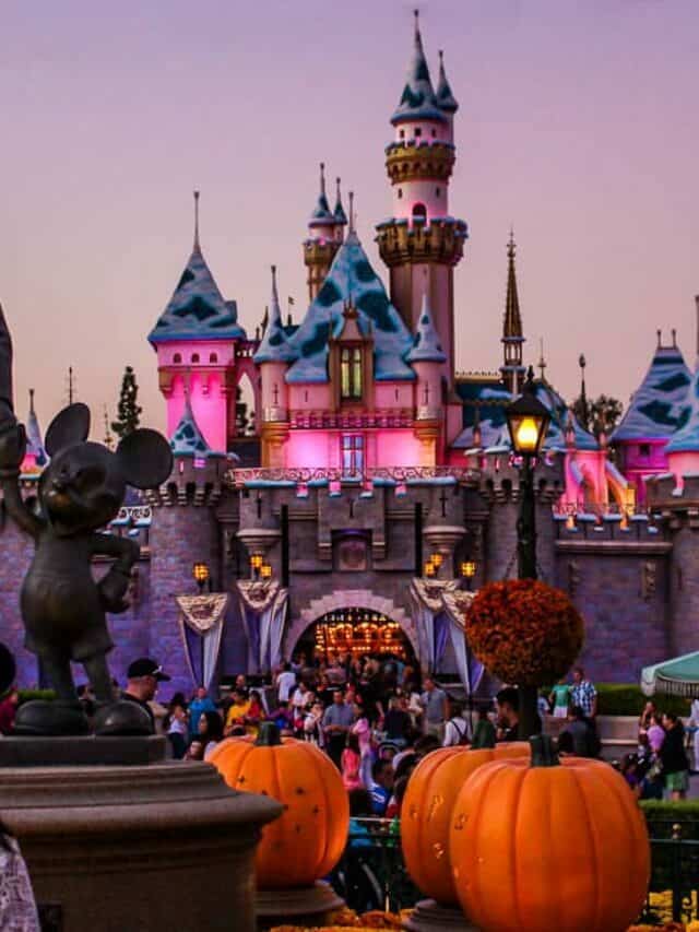 One Magic Day in Disneyland & California Adventure for Adults