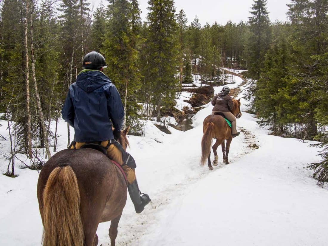 Horse riding at Ruska Laukka stables, Kuusamo