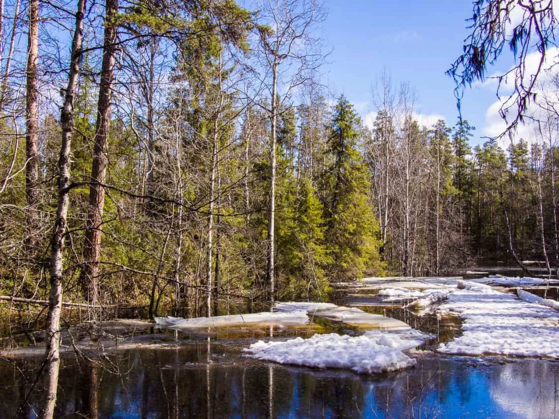 Oulanka National Park, Finland