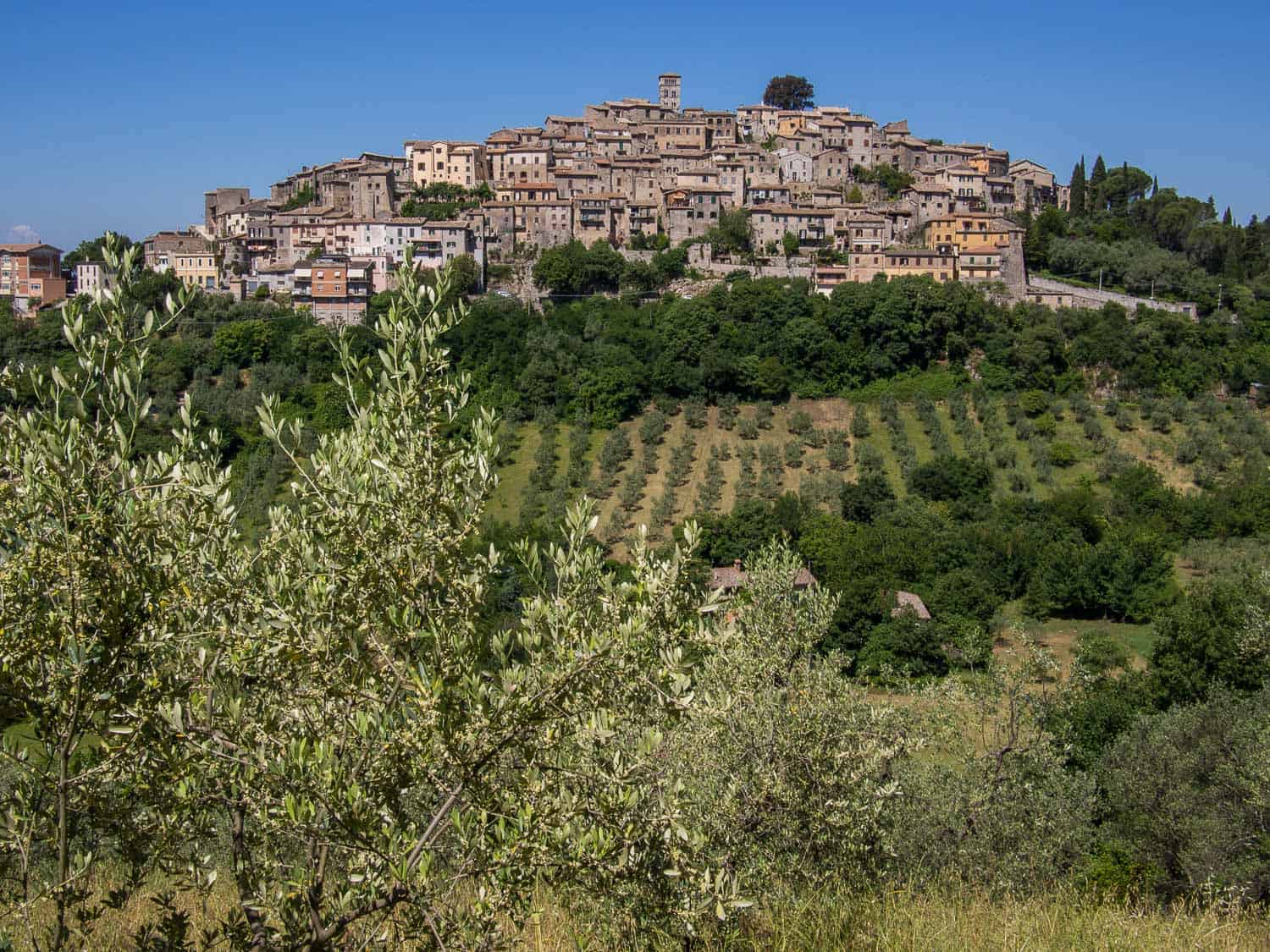 Casperia, Sabina - olive oil tour Rome