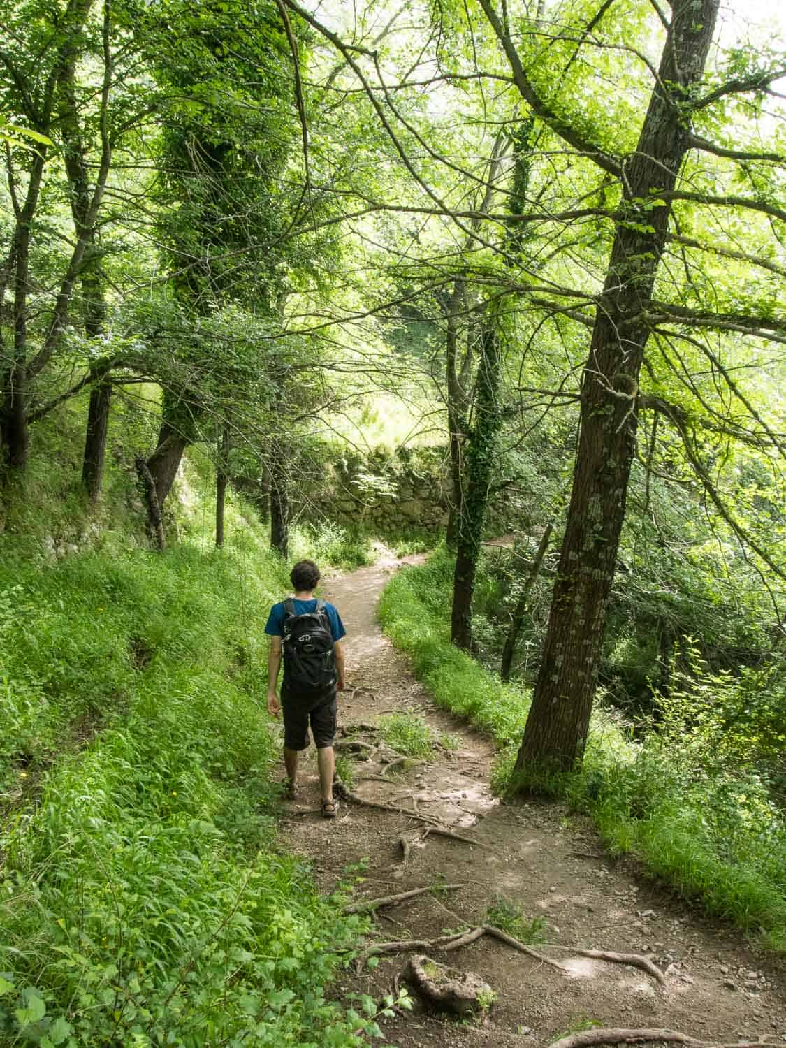 Walking through the forest along the Path of the Gods hike, Amalfi Coast, Italy