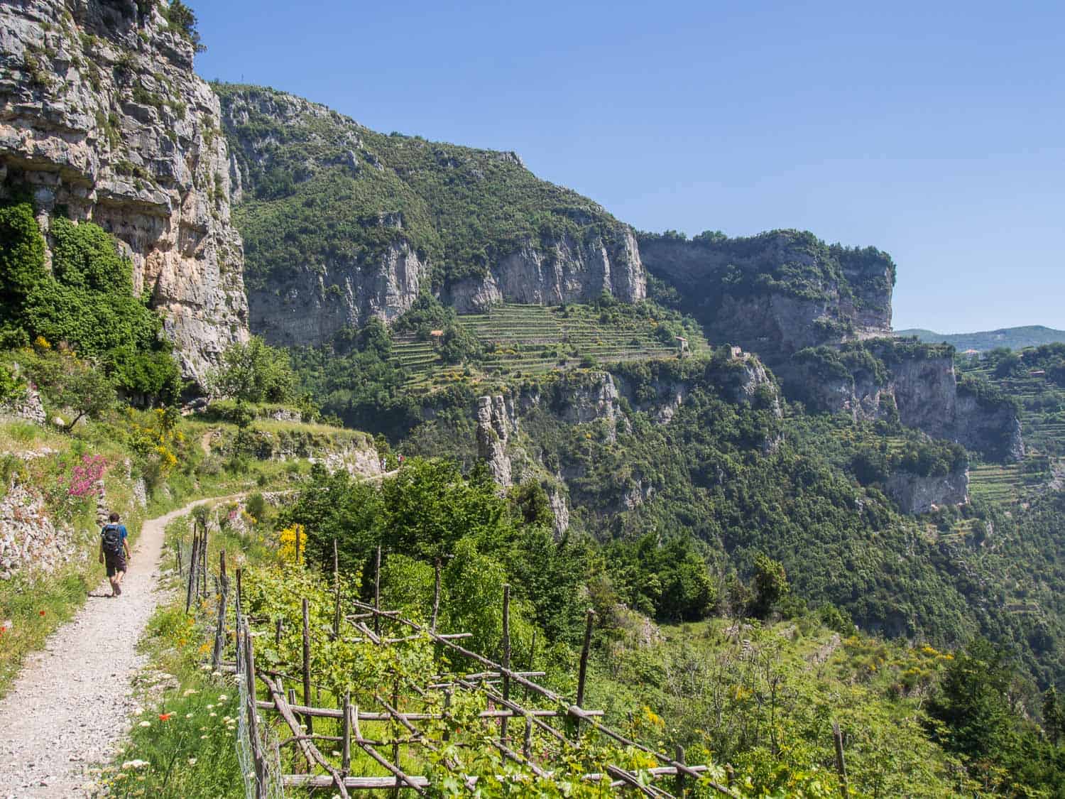 Terraced vineyards on the Path of the Gods hike, Amalfi Coast, Italy