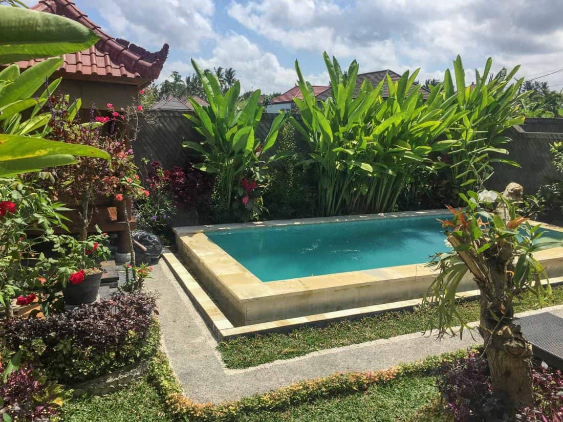 Rental house in Penestanan, Ubud