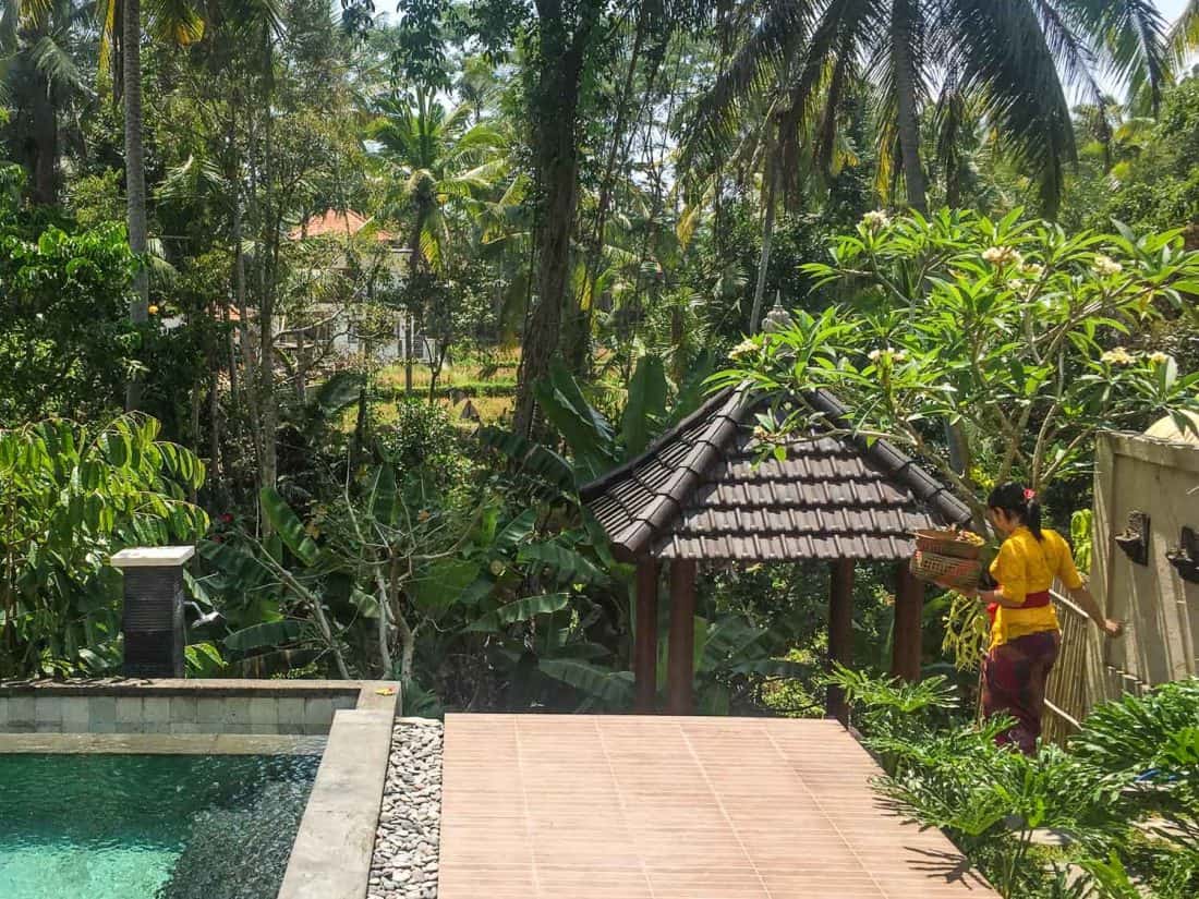 Offerings at our house in Ubud