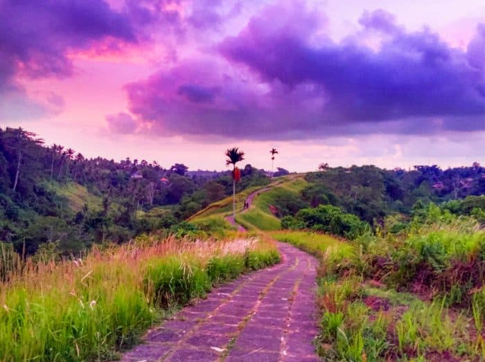 Campuhan Ridge - The cost of living in Ubud Bali