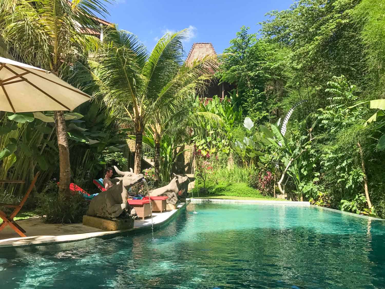 Desak putu putera cottage pool in Ubud