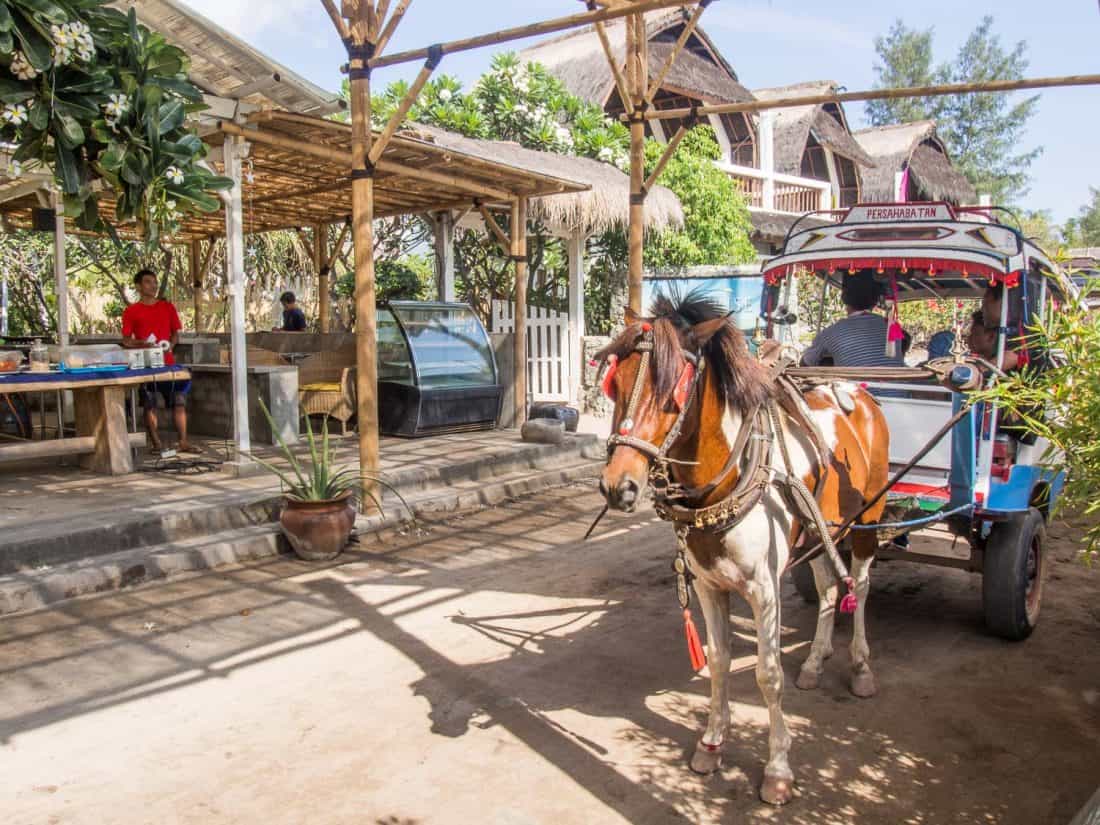 Gili Air horse carts