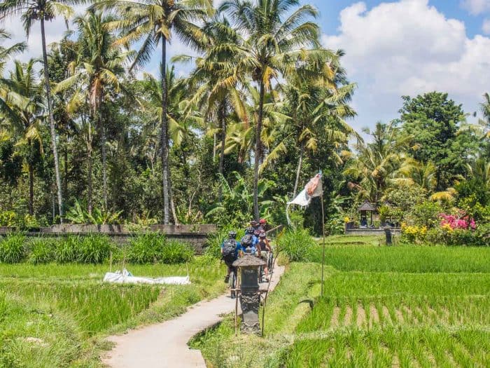Eco Cycling Tour Bali review -Things to Do in Ubud