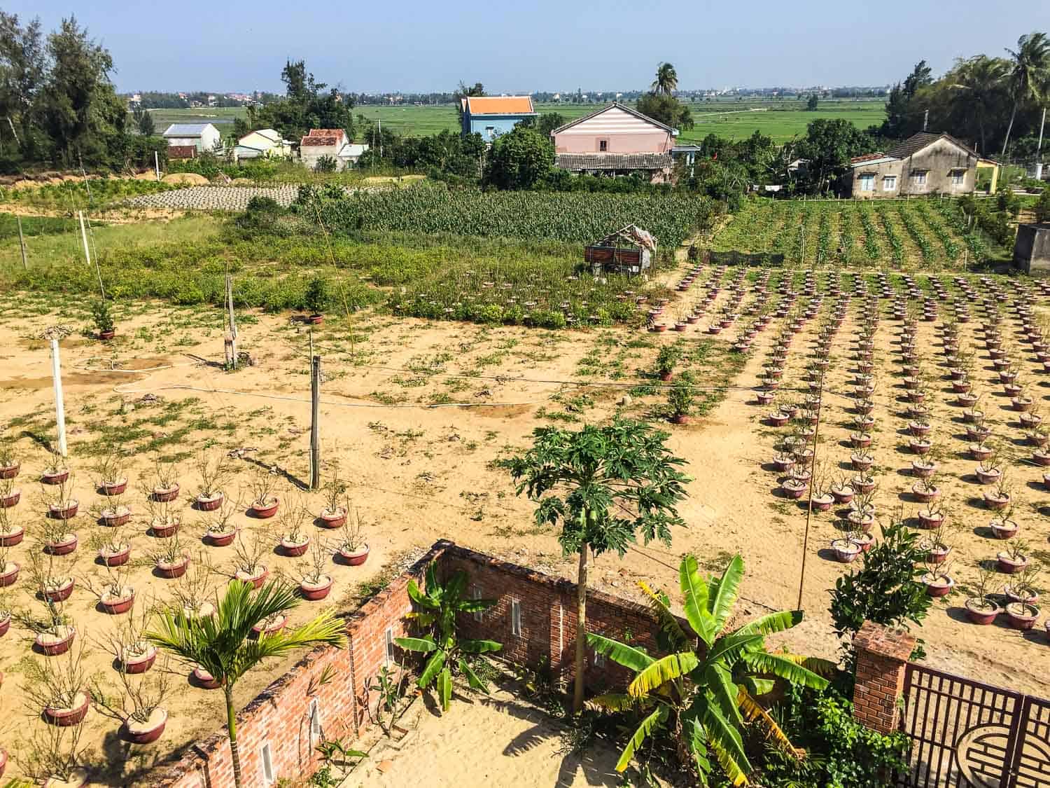 Hoi An house rental -our view at Lotus Apartments