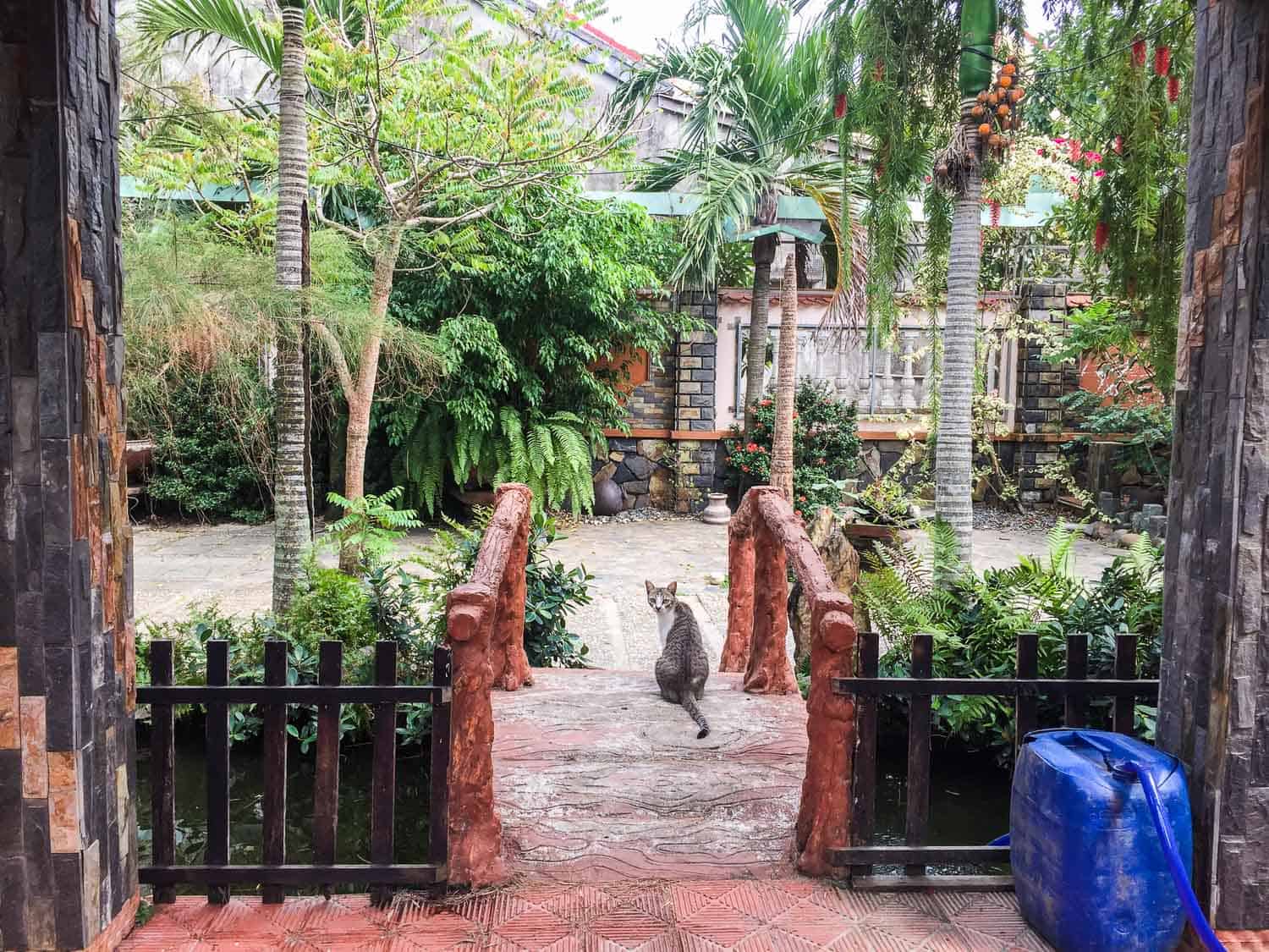 Hoi An vegetarian restaurants- Jack's Cat Cafe