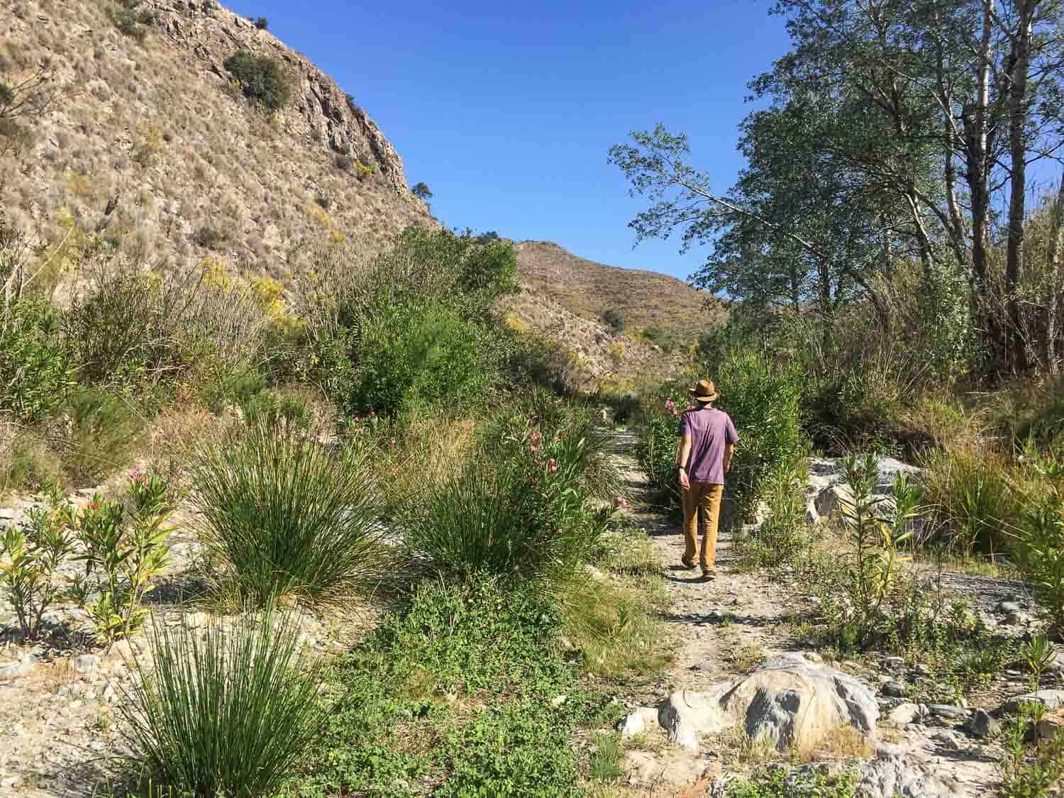 We take daily walks along the dry river beds near our house