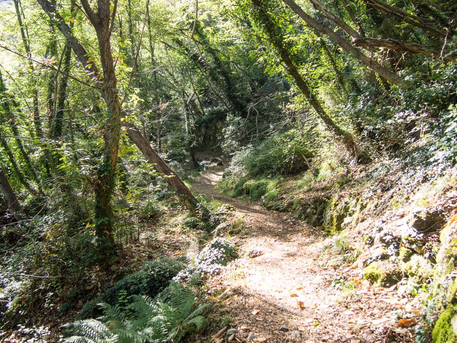 Hiking from Camogli to San Fruttuoso