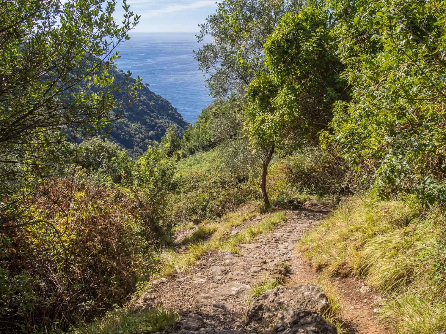 Hiking from Camogli to San Fruttuoso