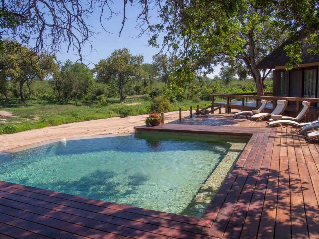 Pool at Klaserie Sands River Camp, South Africa