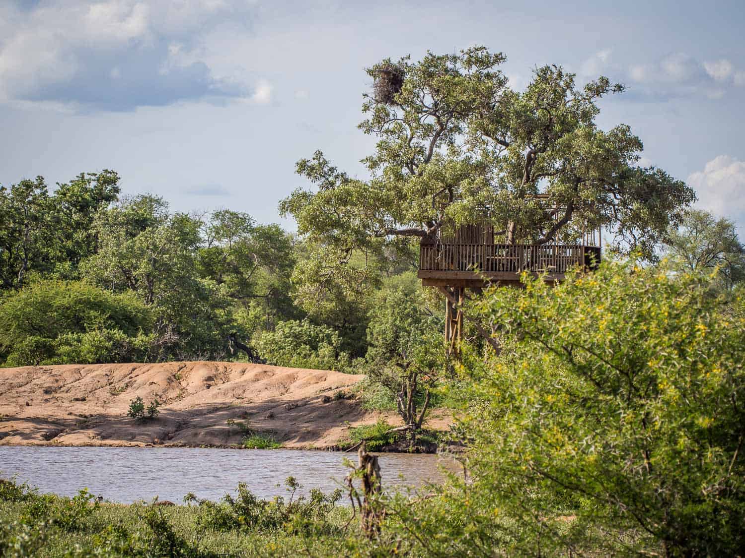 Umlani Bushcamp treehouse