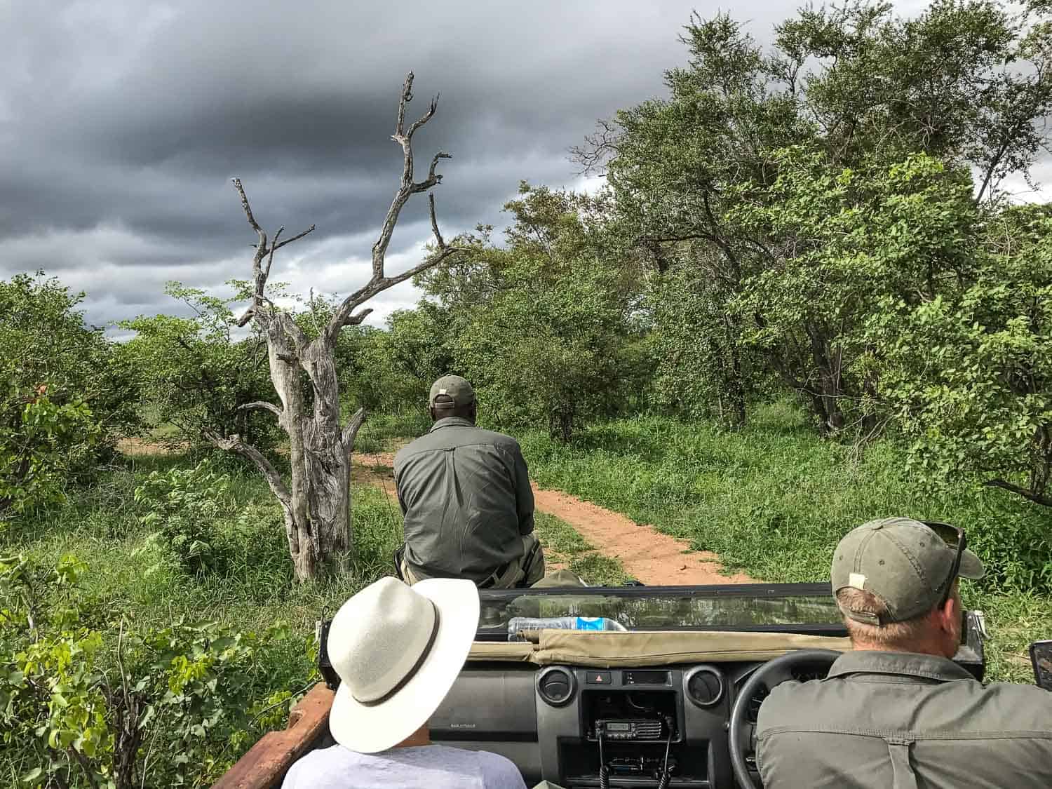 On safari at Klaserie Sands River Camp