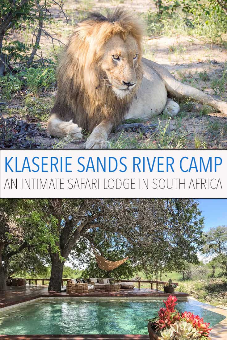Klaserie Sands River Camp is a luxurious, intimate safari lodge in Kruger, South Africa with just four rooms. It's the best place we've ever stayed and the wildlife viewing is superb. Click through to read our detailed review.