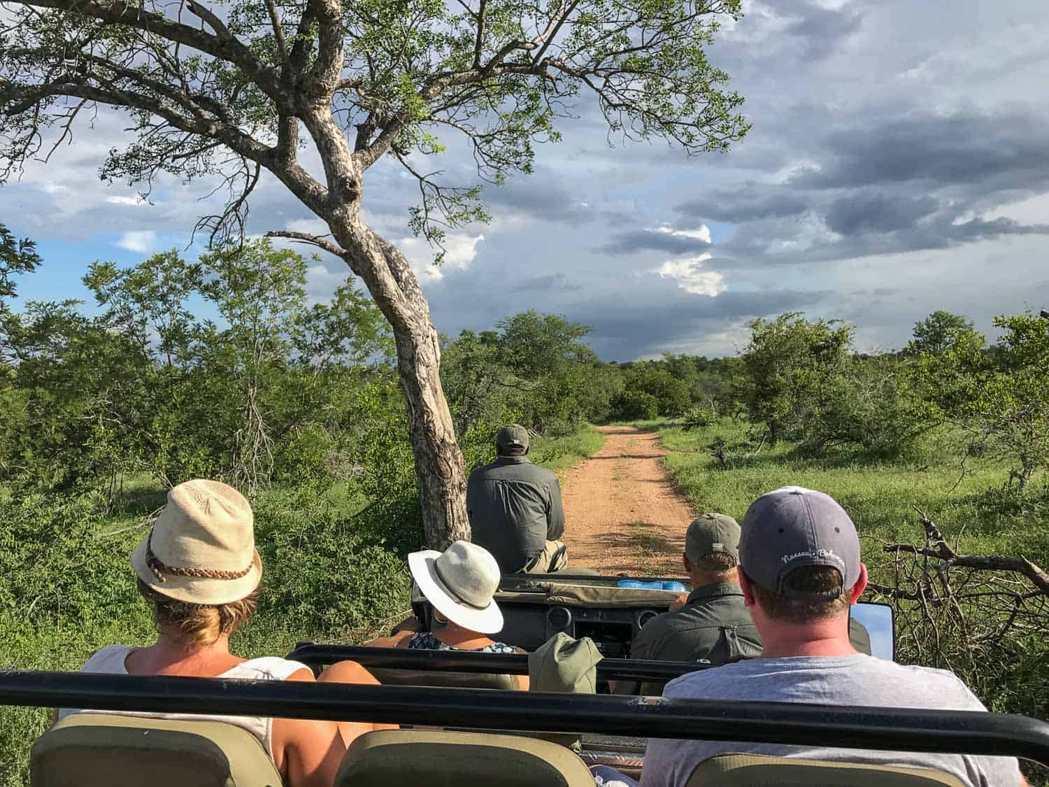 Safari vehicle at Klaserie Sands