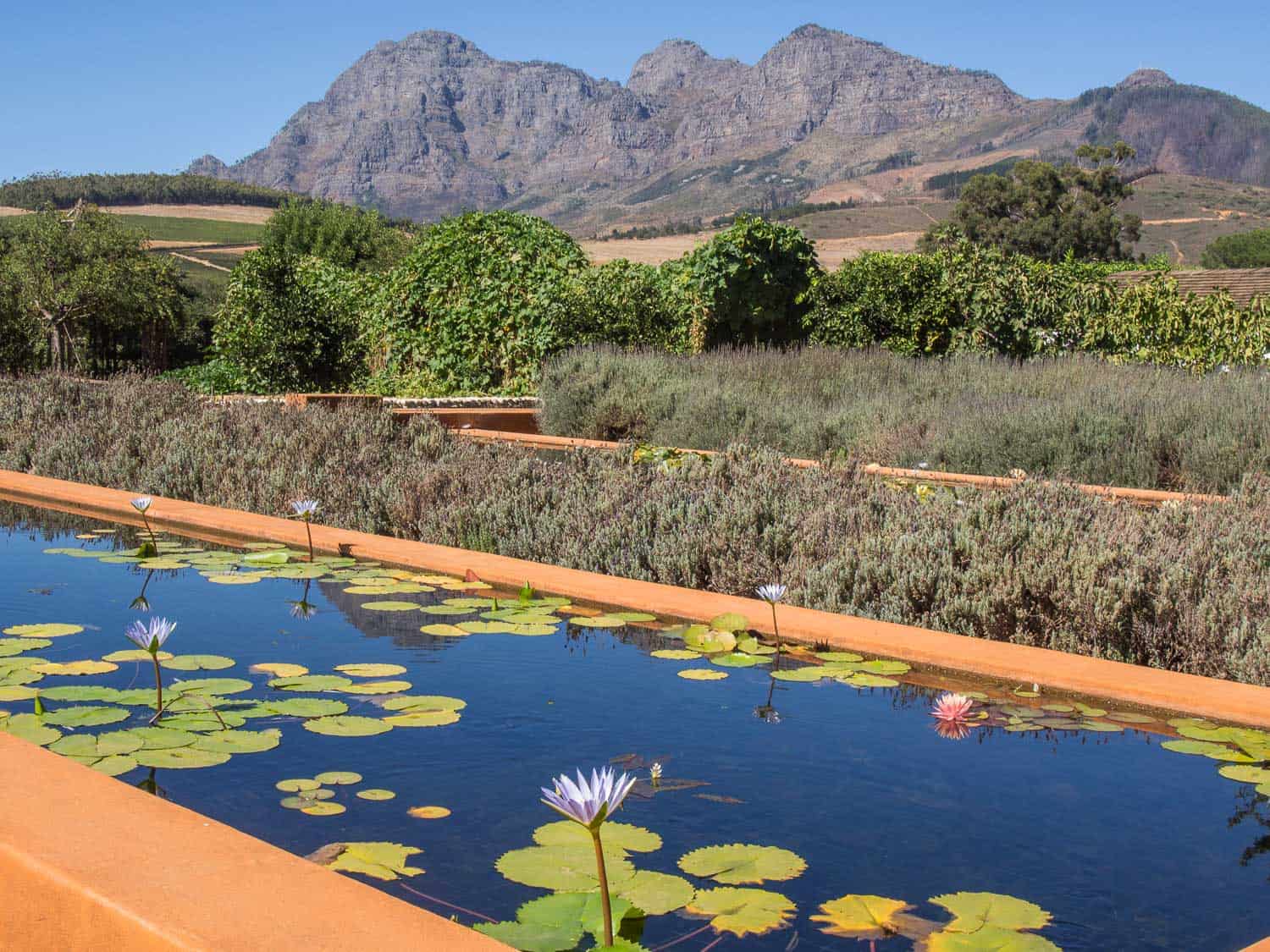 Babylonstoren gardens, Franschhoek travel guide