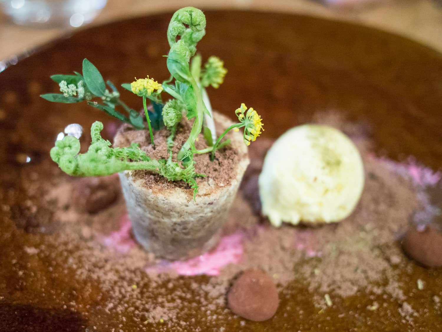 Valrhona chocolate pot plant dessert at Foliage, Franschhoek