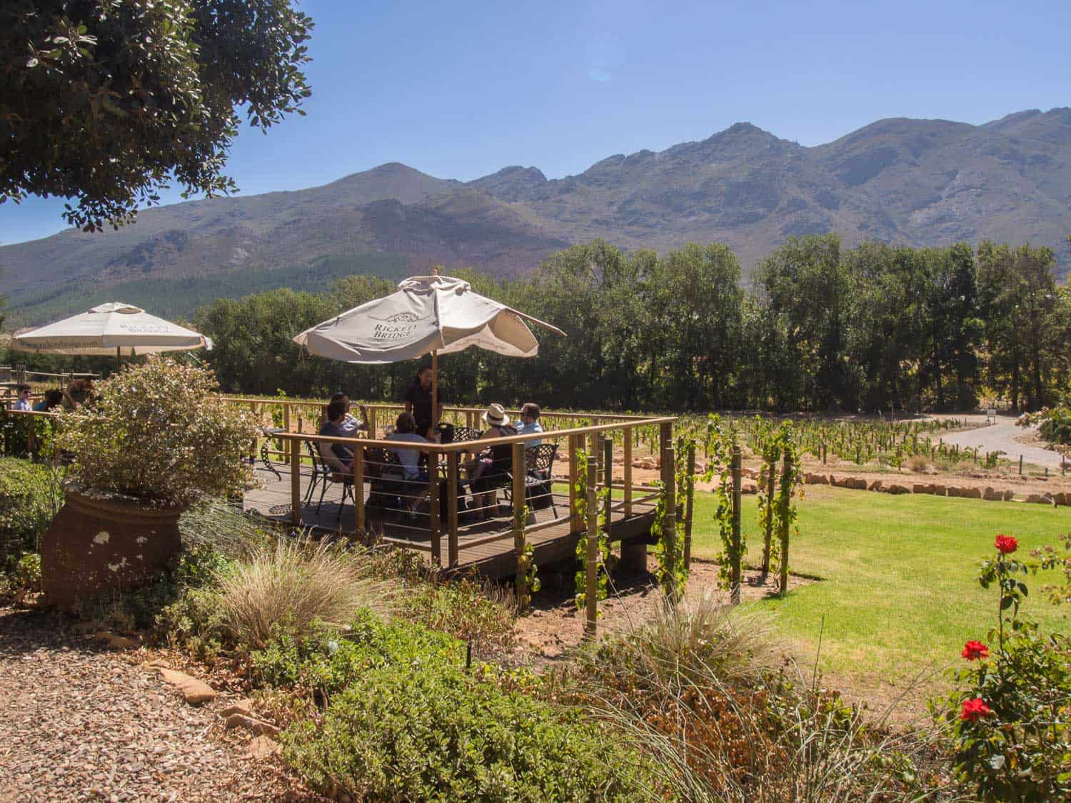 Franschhoek wine tram review - Rickety Bridge winery