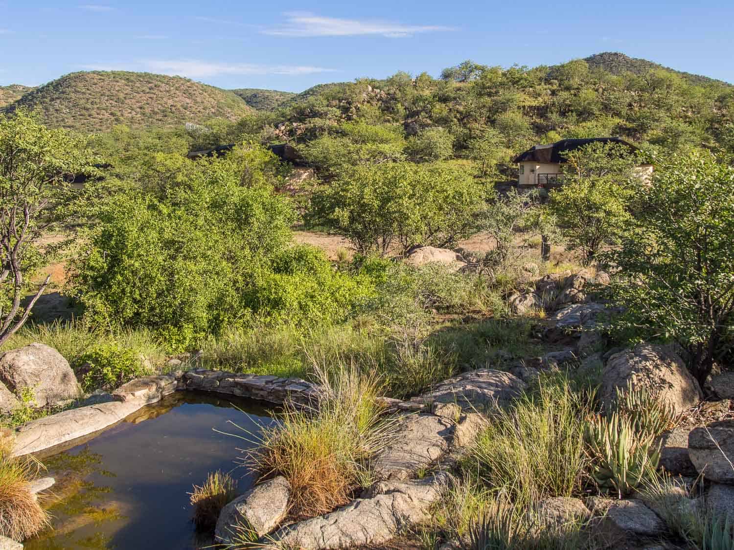 The greenness of Damaraland post rainy season at Huab Lodge