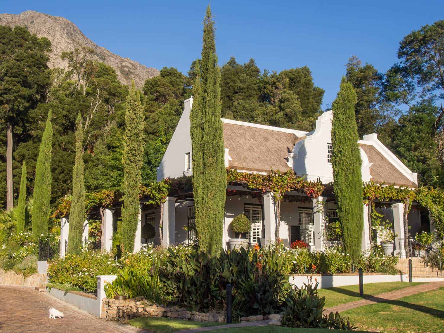 La Providence guesthouse in Franschhoek