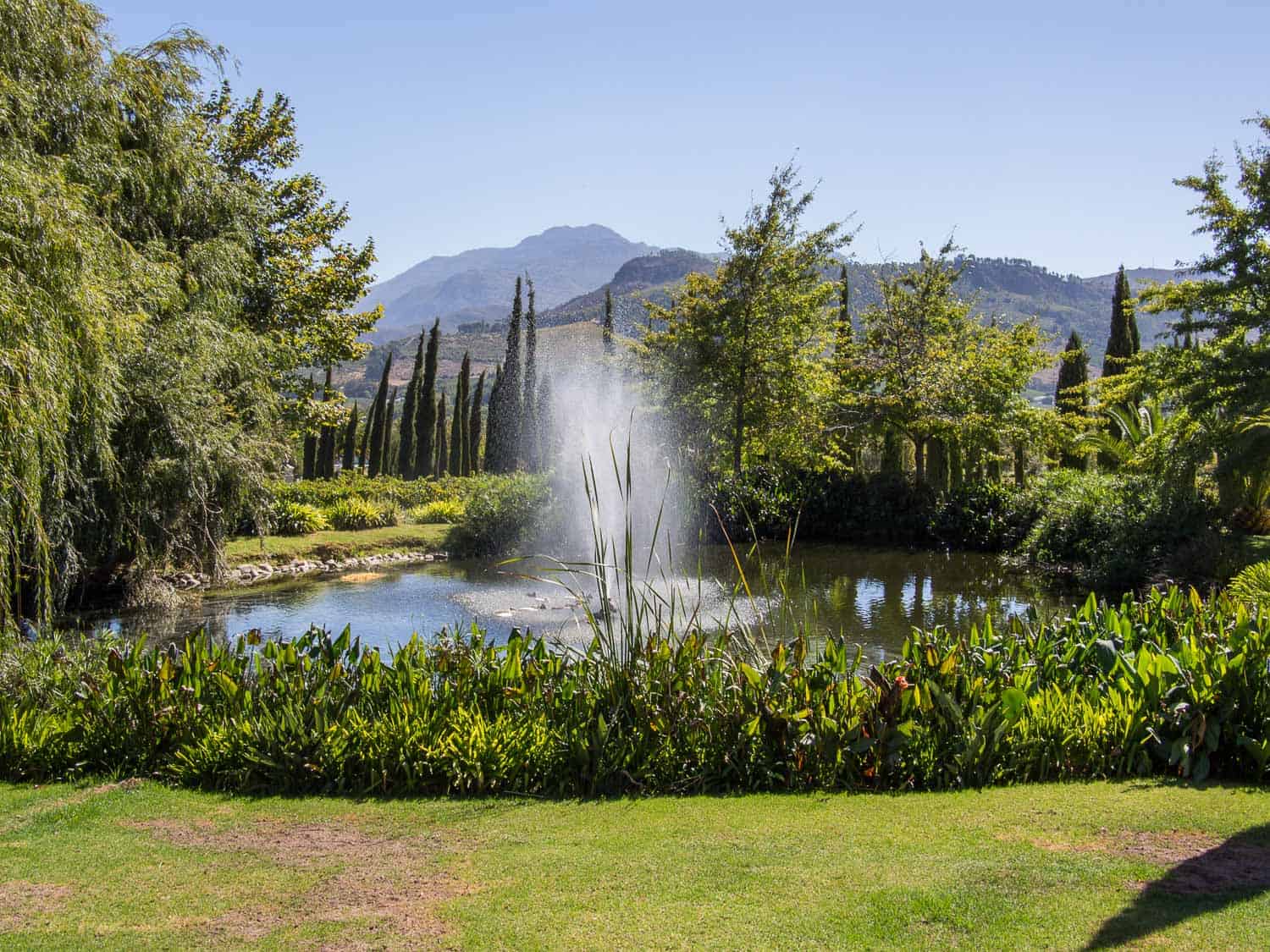 The view of the duck pond from our terrace at La Providence