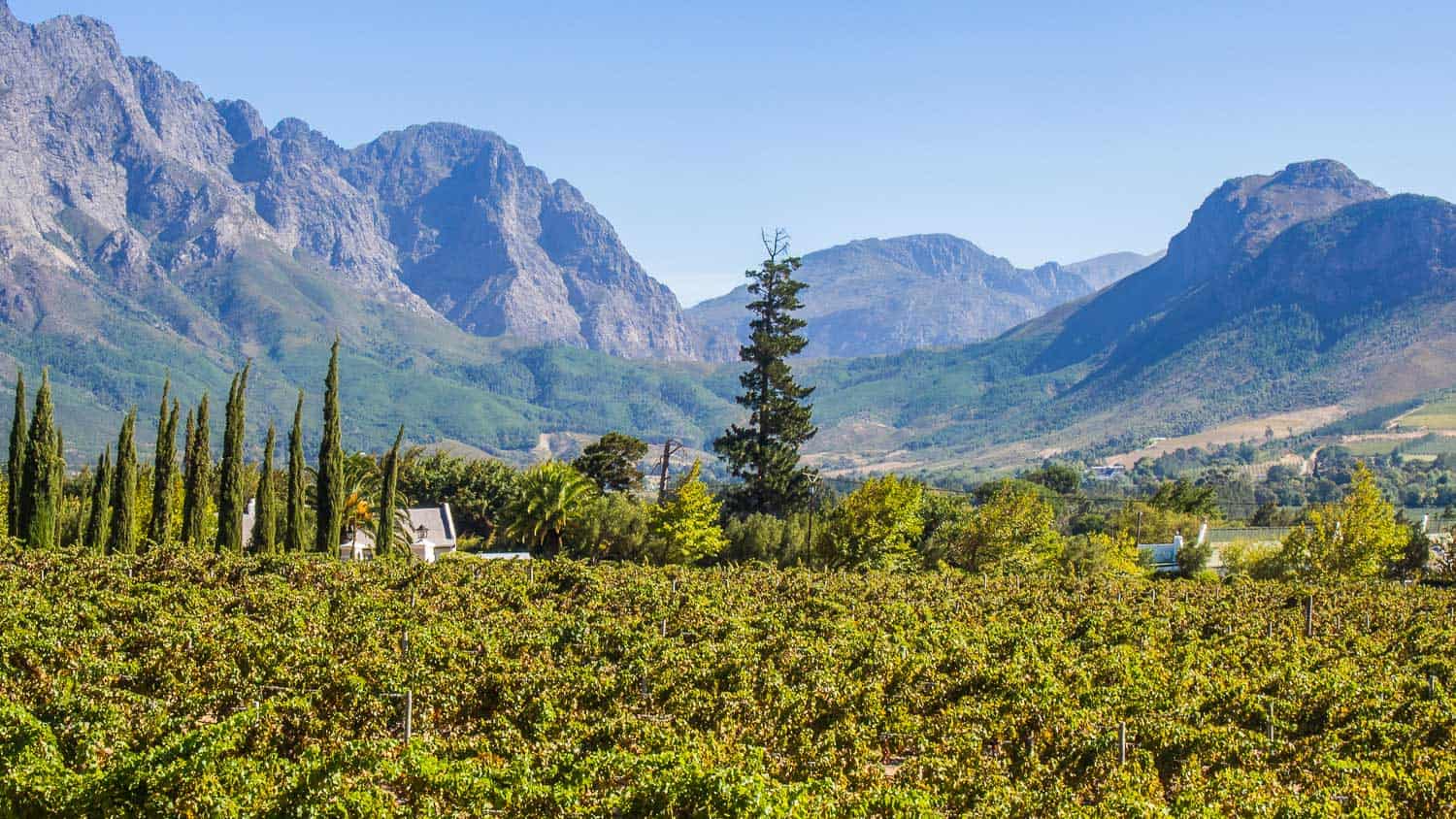 La Providence guesthouse view, Franschhoek