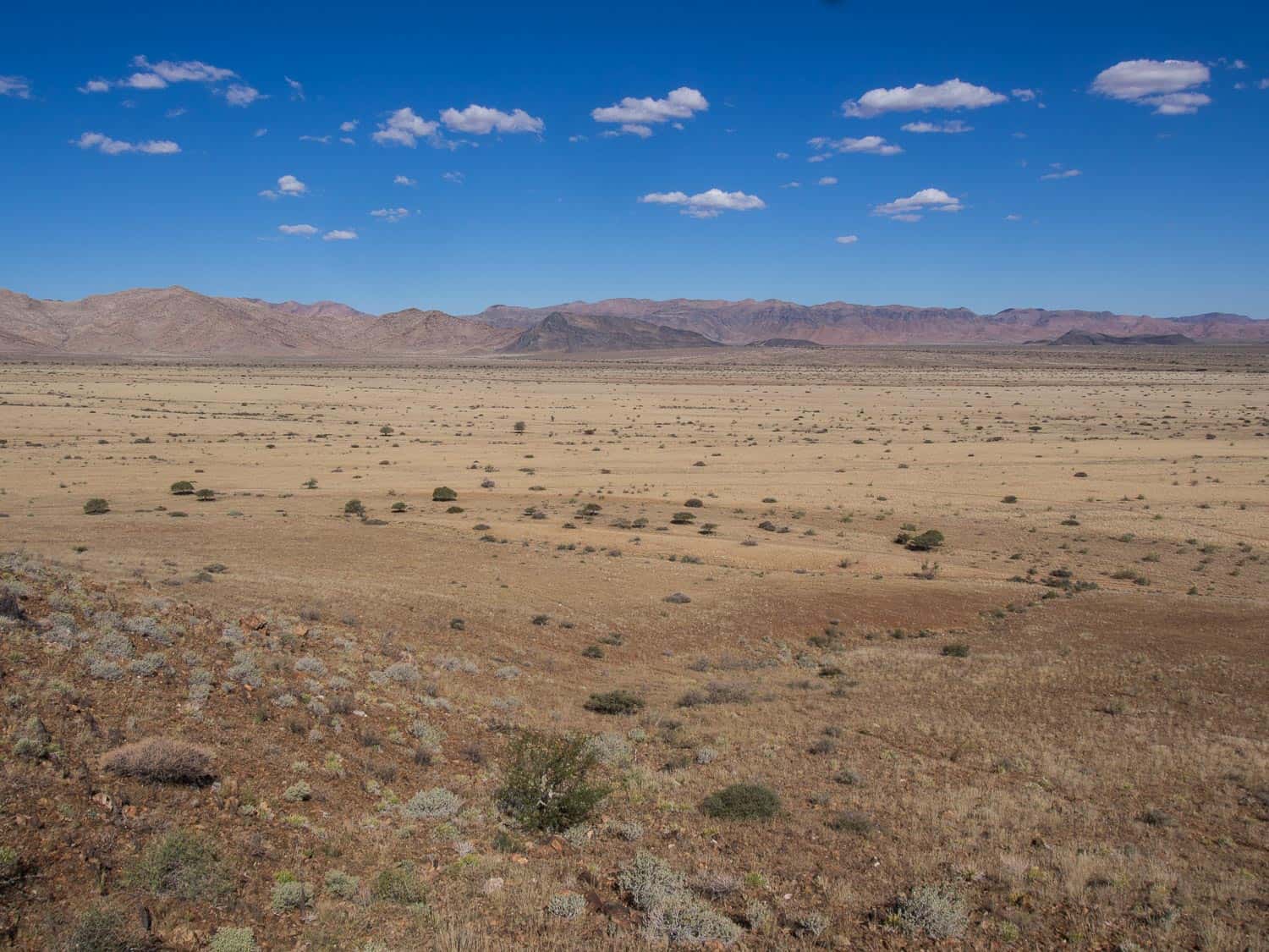 Namib Desert from Moon Mountain Lodge