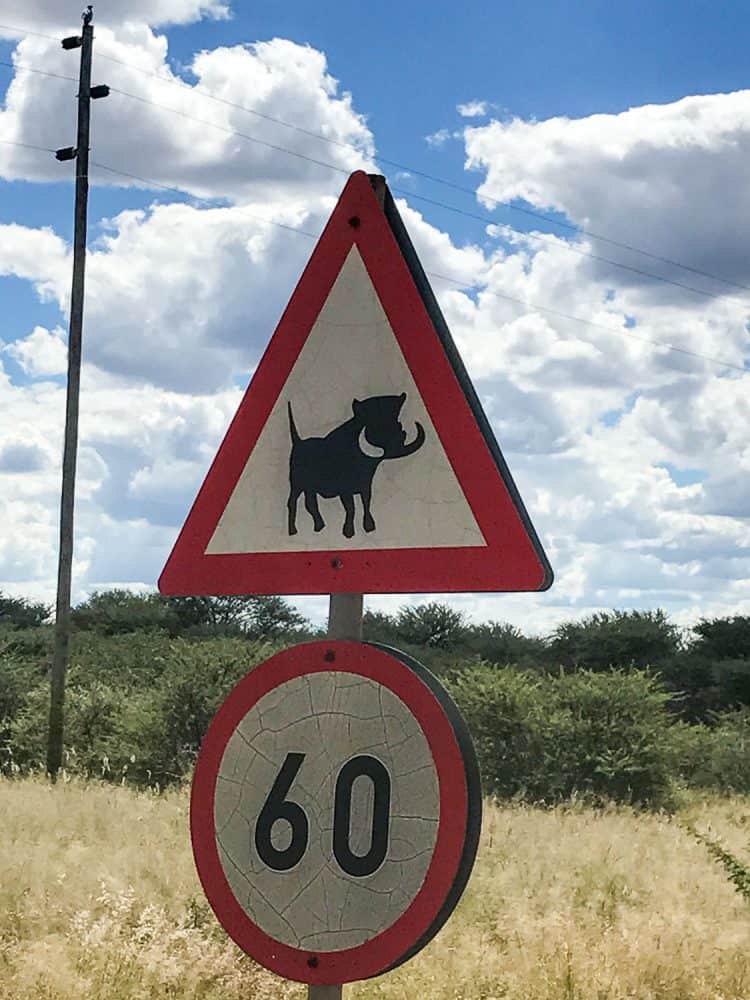 Warthog warning sign on a self drive Namibia trip