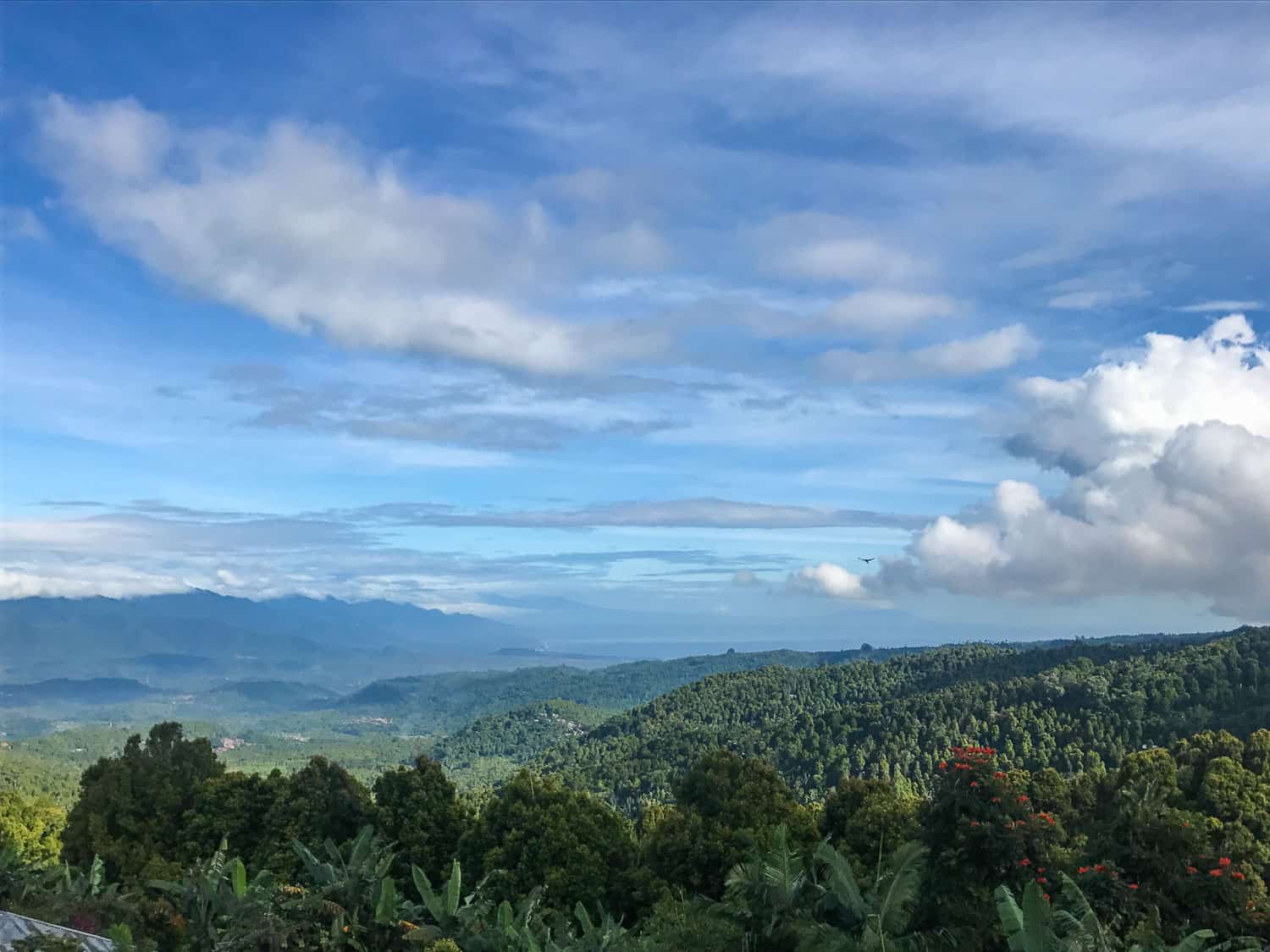 The view from Munduk to the coast