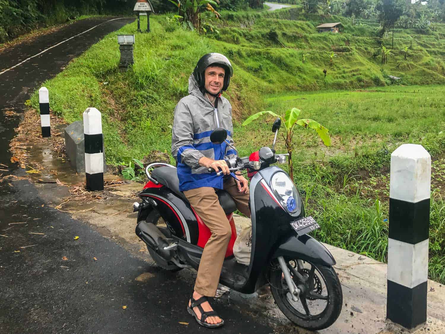 A Bali road trip by motorbike - rice terraces near Bedugal
