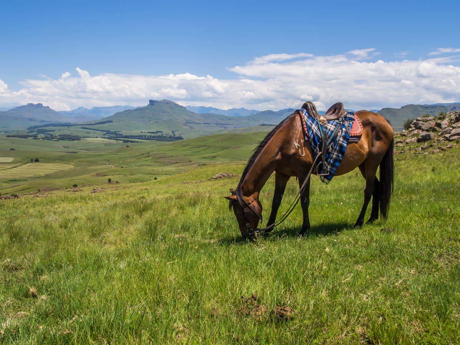 Taking a break on a horse riding trip in Underberg in the Drakensberg Mountains