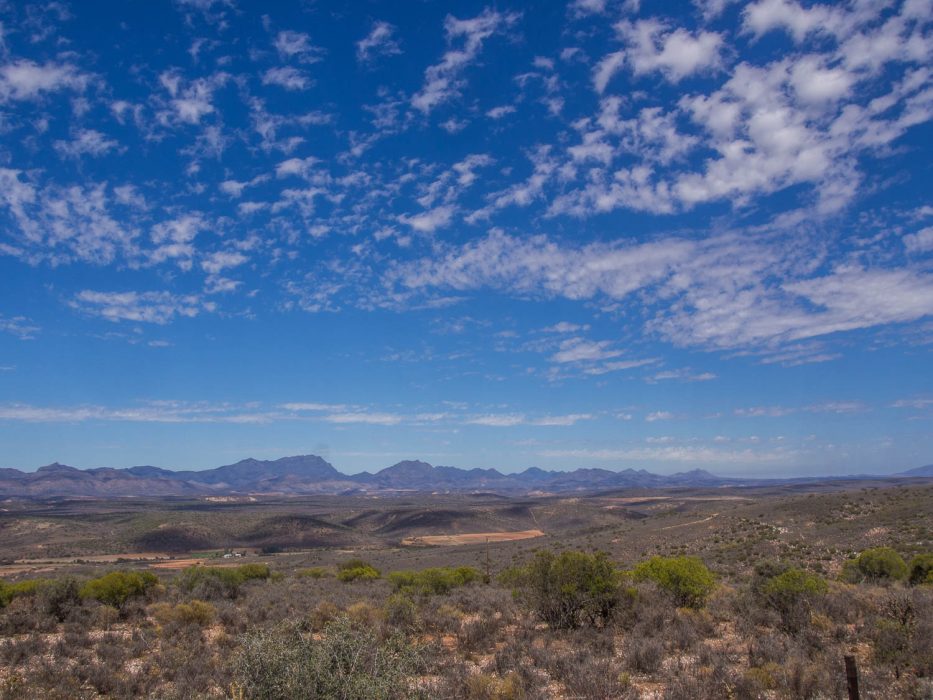 Oudtshoorn semi-desert landscape in South Africa's Klein Karoo